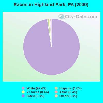 Races in Highland Park, PA (2000)