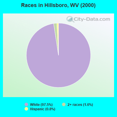 Races in Hillsboro, WV (2000)