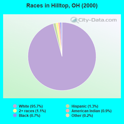 Races in Hilltop, OH (2000)