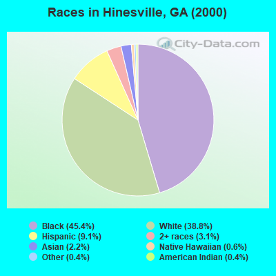 Races in Hinesville, GA (2000)