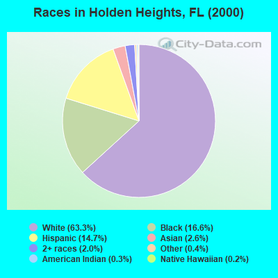 Races in Holden Heights, FL (2000)