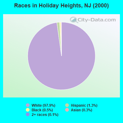 Races in Holiday Heights, NJ (2000)