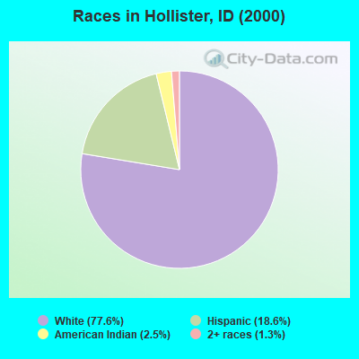Races in Hollister, ID (2000)