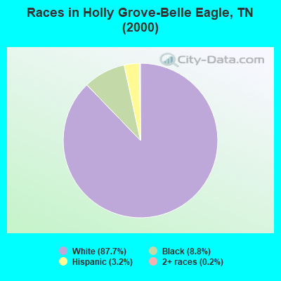 Races in Holly Grove-Belle Eagle, TN (2000)