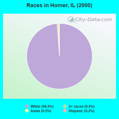 Races in Homer, IL (2000)