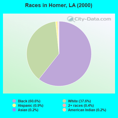 Races in Homer, LA (2000)