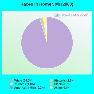 Races in Homer, MI (2000)