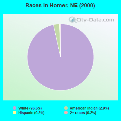 Races in Homer, NE (2000)