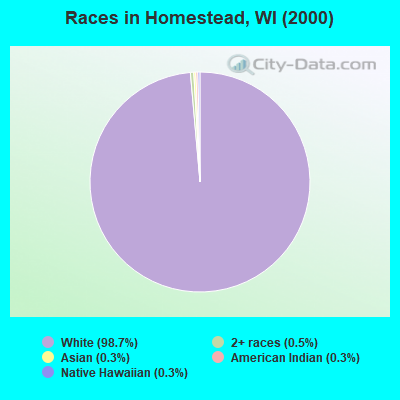 Races in Homestead, WI (2000)