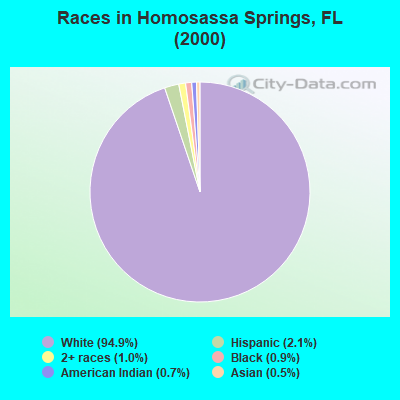 Races in Homosassa Springs, FL (2000)