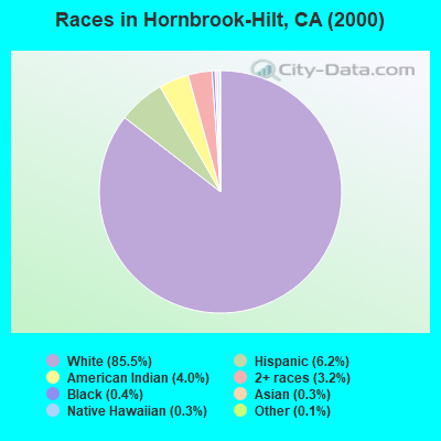 Races in Hornbrook-Hilt, CA (2000)