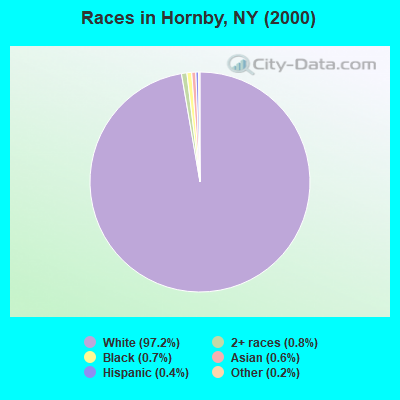 Races in Hornby, NY (2000)