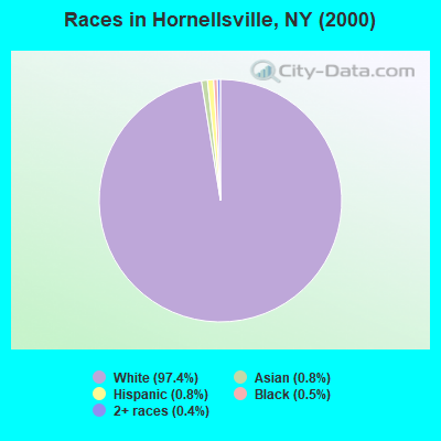 Races in Hornellsville, NY (2000)