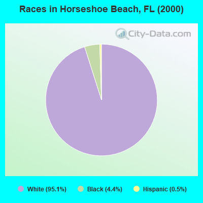 Races in Horseshoe Beach, FL (2000)