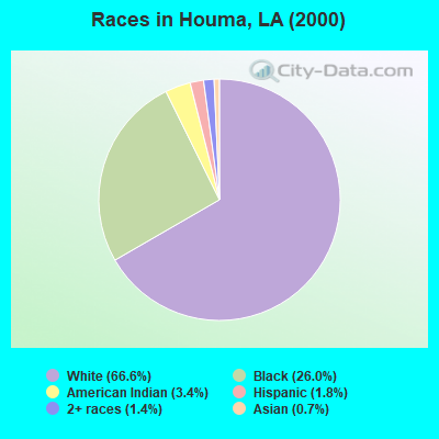 Races in Houma, LA (2000)