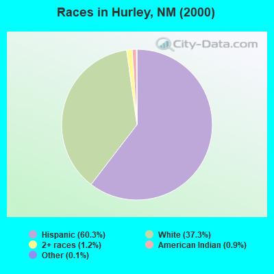 Races in Hurley, NM (2000)