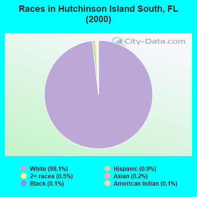 Races in Hutchinson Island South, FL (2000)