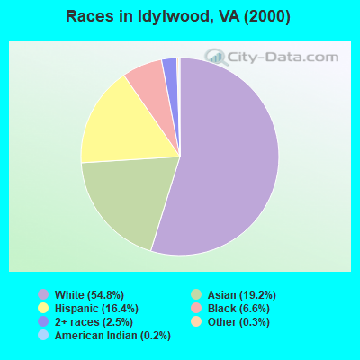 Races in Idylwood, VA (2000)