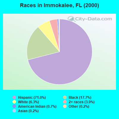 Races in Immokalee, FL (2000)