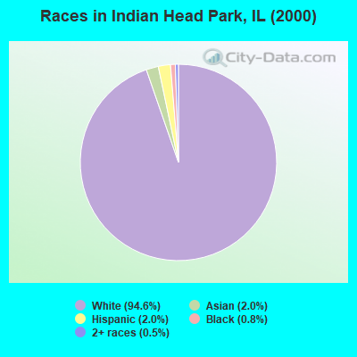 Races in Indian Head Park, IL (2000)