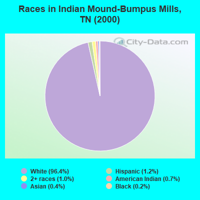 Races in Indian Mound-Bumpus Mills, TN (2000)