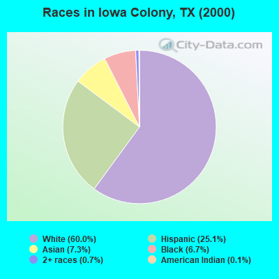 Races in Iowa Colony, TX (2000)