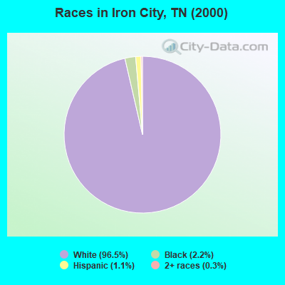 Races in Iron City, TN (2000)