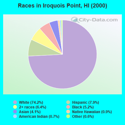 Races in Iroquois Point, HI (2000)