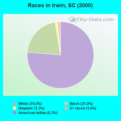 Races in Irwin, SC (2000)
