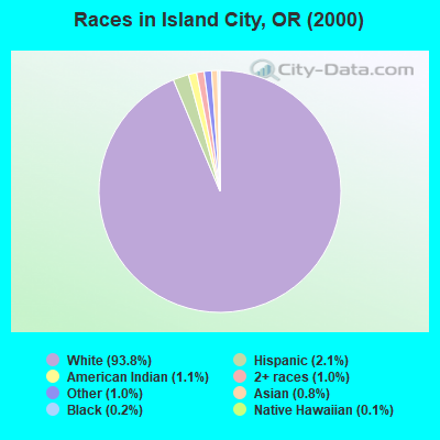 Races in Island City, OR (2000)