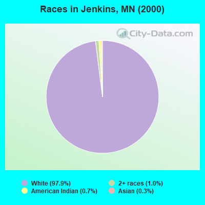 Races in Jenkins, MN (2000)
