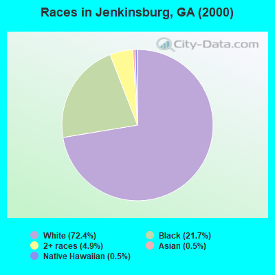 Races in Jenkinsburg, GA (2000)