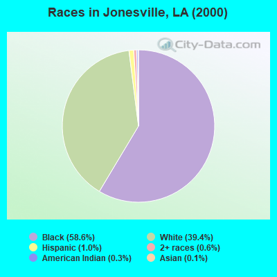 Races in Jonesville, LA (2000)