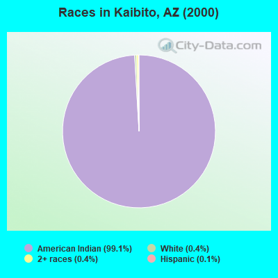 Races in Kaibito, AZ (2000)