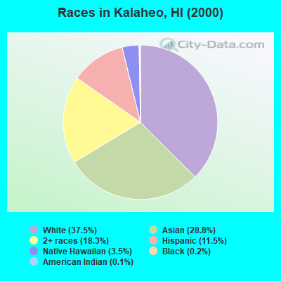 Races in Kalaheo, HI (2000)