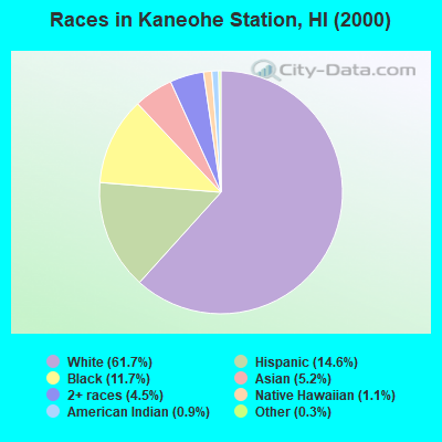 Races in Kaneohe Station, HI (2000)