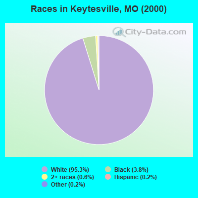 Races in Keytesville, MO (2000)