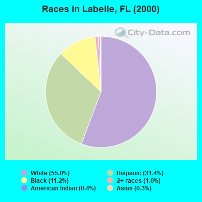 Races in Labelle, FL (2000)