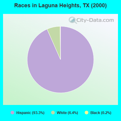 Races in Laguna Heights, TX (2000)