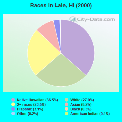 Races in Laie, HI (2000)