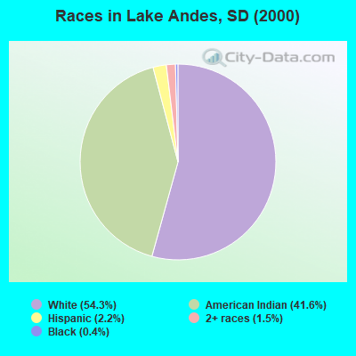Races in Lake Andes, SD (2000)