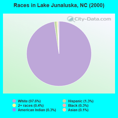 Races in Lake Junaluska, NC (2000)