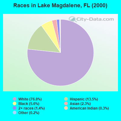 Races in Lake Magdalene, FL (2000)