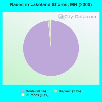 Races in Lakeland Shores, MN (2000)