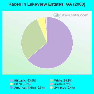 Races in Lakeview Estates, GA (2000)