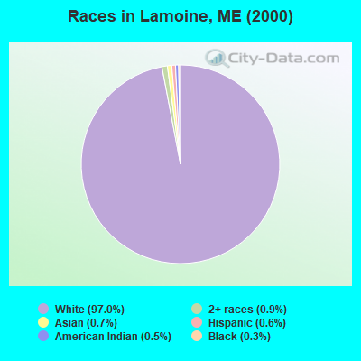 Races in Lamoine, ME (2000)