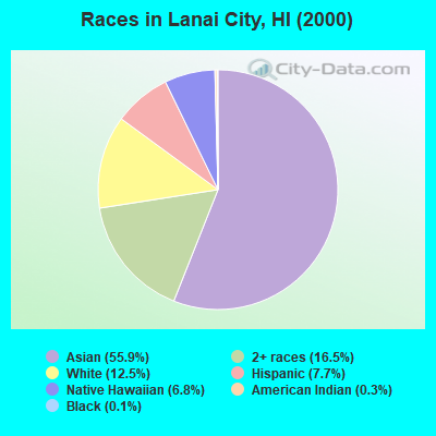 Races in Lanai City, HI (2000)