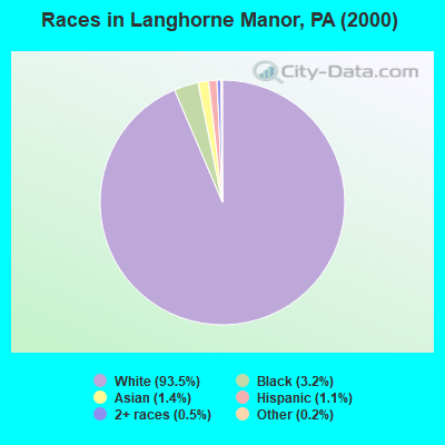 Races in Langhorne Manor, PA (2000)