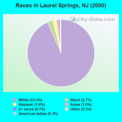 Races in Laurel Springs, NJ (2000)