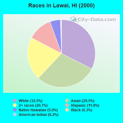 Races in Lawai, HI (2000)